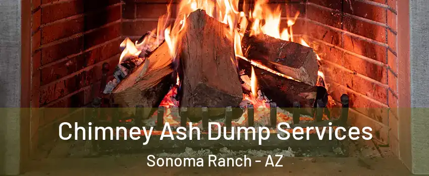 Chimney Ash Dump Services Sonoma Ranch - AZ