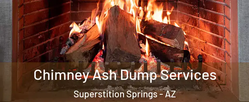 Chimney Ash Dump Services Superstition Springs - AZ
