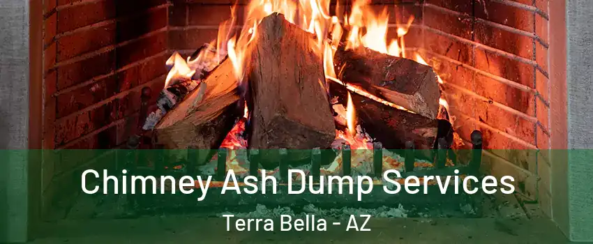 Chimney Ash Dump Services Terra Bella - AZ
