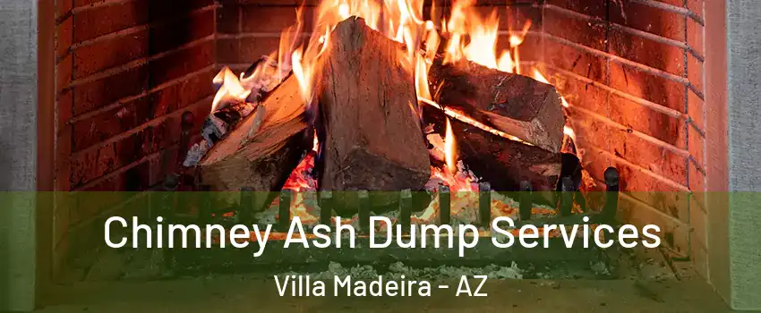 Chimney Ash Dump Services Villa Madeira - AZ