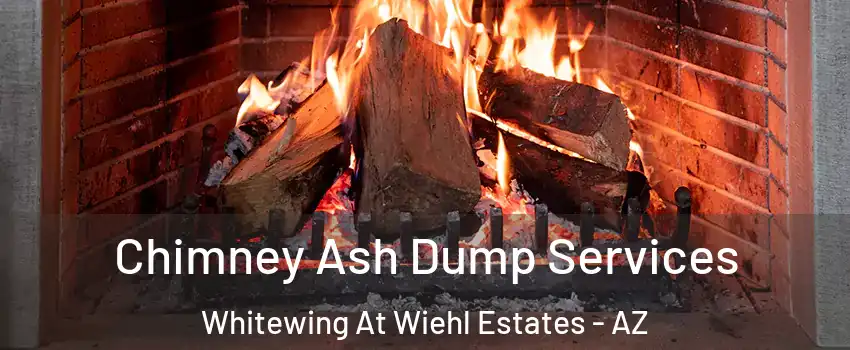 Chimney Ash Dump Services Whitewing At Wiehl Estates - AZ