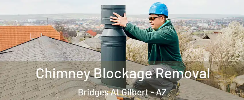 Chimney Blockage Removal Bridges At Gilbert - AZ