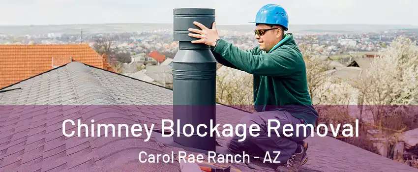 Chimney Blockage Removal Carol Rae Ranch - AZ