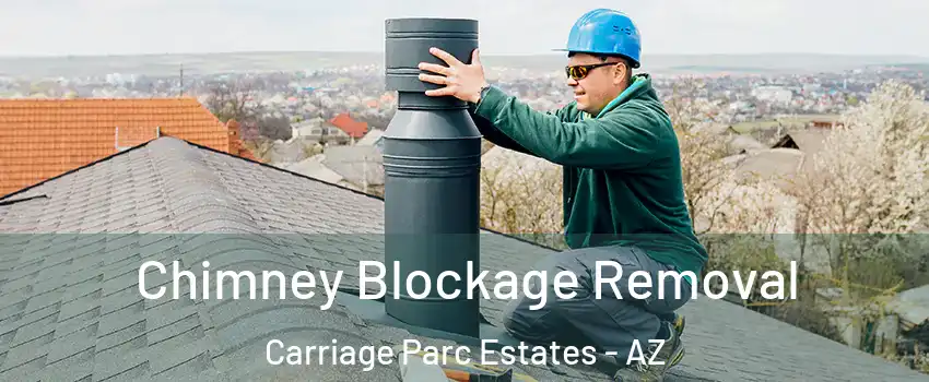 Chimney Blockage Removal Carriage Parc Estates - AZ
