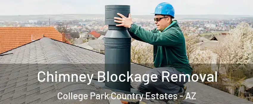 Chimney Blockage Removal College Park Country Estates - AZ