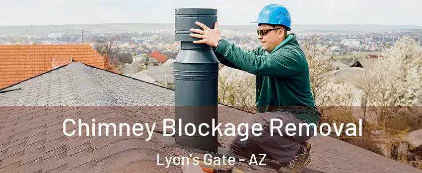 Chimney Blockage Removal Lyon's Gate - AZ