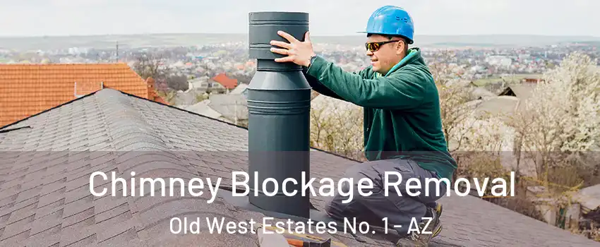Chimney Blockage Removal Old West Estates No. 1 - AZ