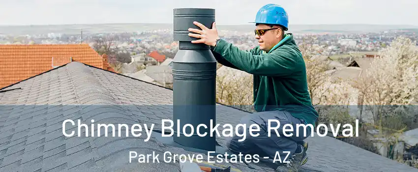 Chimney Blockage Removal Park Grove Estates - AZ