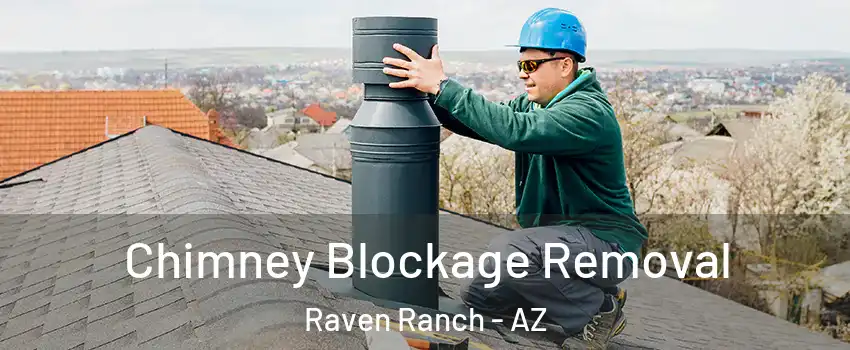 Chimney Blockage Removal Raven Ranch - AZ