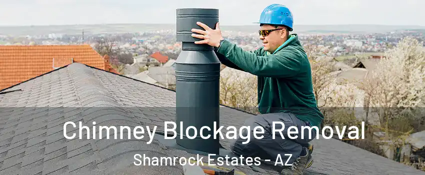 Chimney Blockage Removal Shamrock Estates - AZ