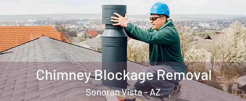 Chimney Blockage Removal Sonoran Vista - AZ