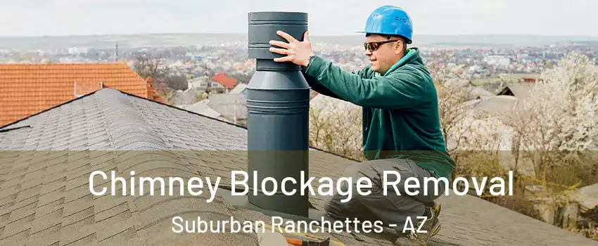 Chimney Blockage Removal Suburban Ranchettes - AZ