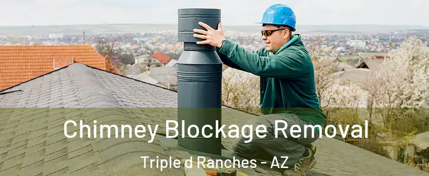 Chimney Blockage Removal Triple d Ranches - AZ