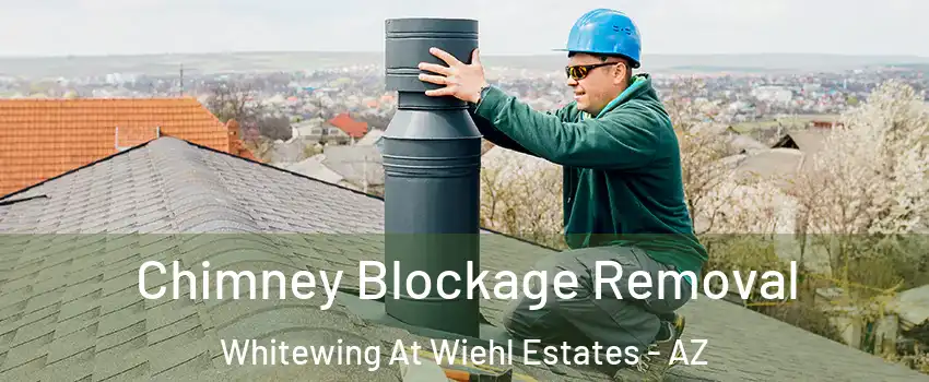 Chimney Blockage Removal Whitewing At Wiehl Estates - AZ