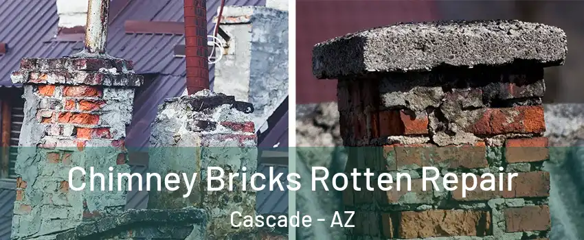 Chimney Bricks Rotten Repair Cascade - AZ
