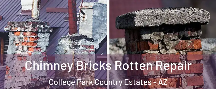 Chimney Bricks Rotten Repair College Park Country Estates - AZ