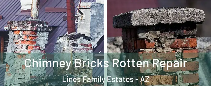 Chimney Bricks Rotten Repair Lines Family Estates - AZ