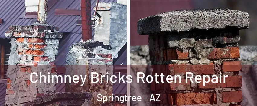 Chimney Bricks Rotten Repair Springtree - AZ