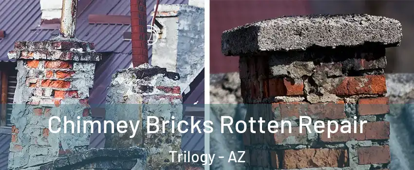 Chimney Bricks Rotten Repair Trilogy - AZ