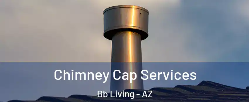 Chimney Cap Services Bb Living - AZ