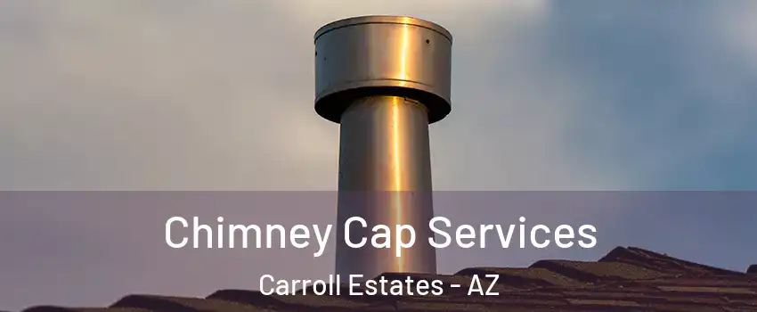 Chimney Cap Services Carroll Estates - AZ