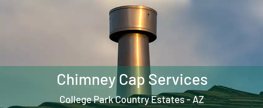 Chimney Cap Services College Park Country Estates - AZ