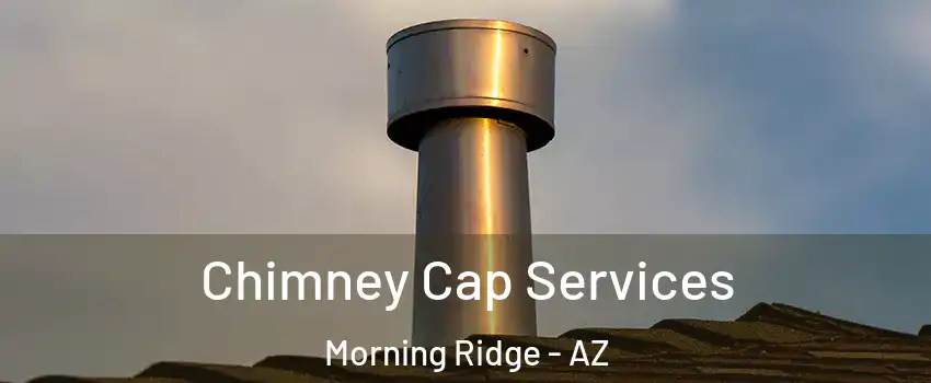 Chimney Cap Services Morning Ridge - AZ