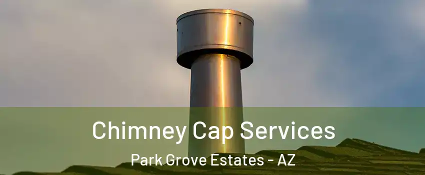Chimney Cap Services Park Grove Estates - AZ