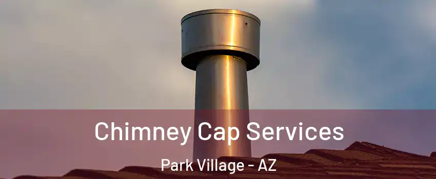 Chimney Cap Services Park Village - AZ