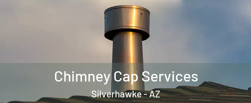 Chimney Cap Services Silverhawke - AZ