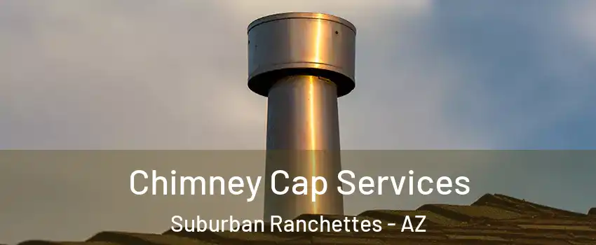 Chimney Cap Services Suburban Ranchettes - AZ