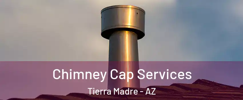 Chimney Cap Services Tierra Madre - AZ