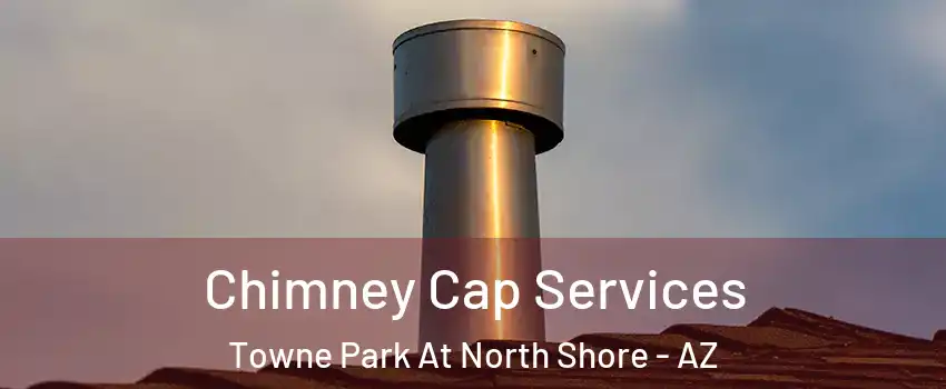 Chimney Cap Services Towne Park At North Shore - AZ