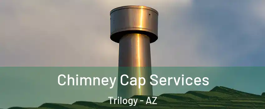 Chimney Cap Services Trilogy - AZ