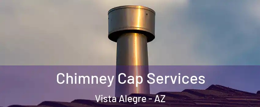 Chimney Cap Services Vista Alegre - AZ