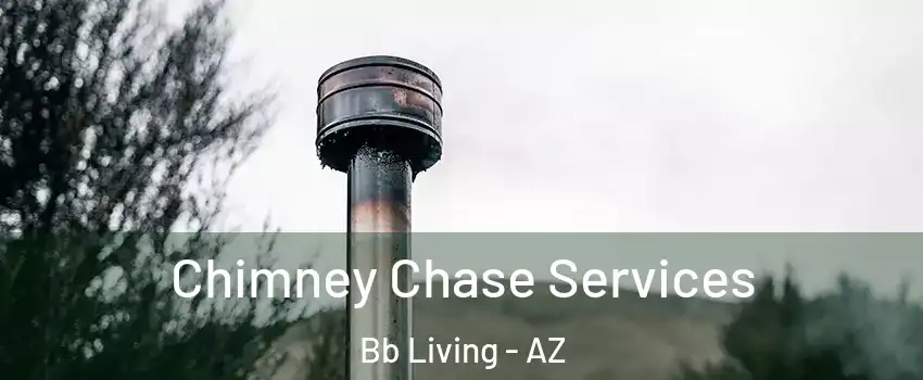Chimney Chase Services Bb Living - AZ