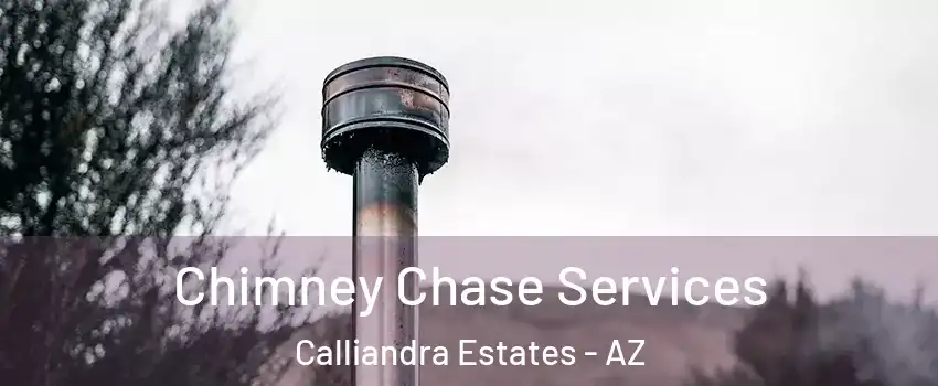 Chimney Chase Services Calliandra Estates - AZ