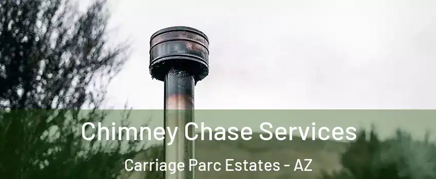 Chimney Chase Services Carriage Parc Estates - AZ