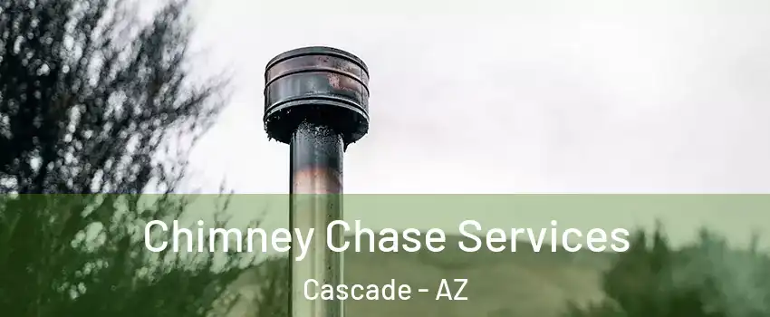 Chimney Chase Services Cascade - AZ