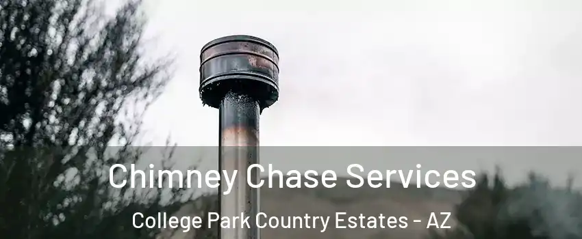 Chimney Chase Services College Park Country Estates - AZ