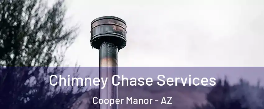Chimney Chase Services Cooper Manor - AZ