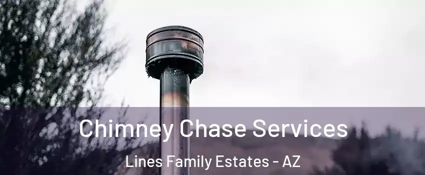 Chimney Chase Services Lines Family Estates - AZ