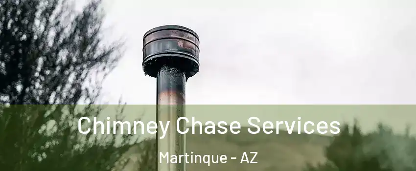 Chimney Chase Services Martinque - AZ