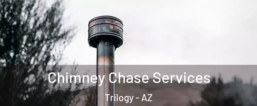Chimney Chase Services Trilogy - AZ