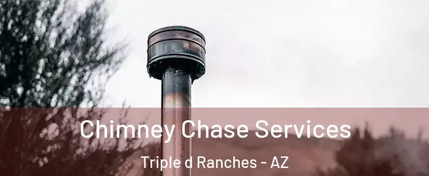 Chimney Chase Services Triple d Ranches - AZ
