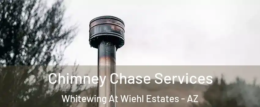 Chimney Chase Services Whitewing At Wiehl Estates - AZ