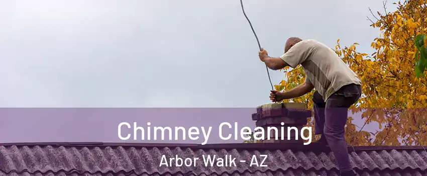 Chimney Cleaning Arbor Walk - AZ
