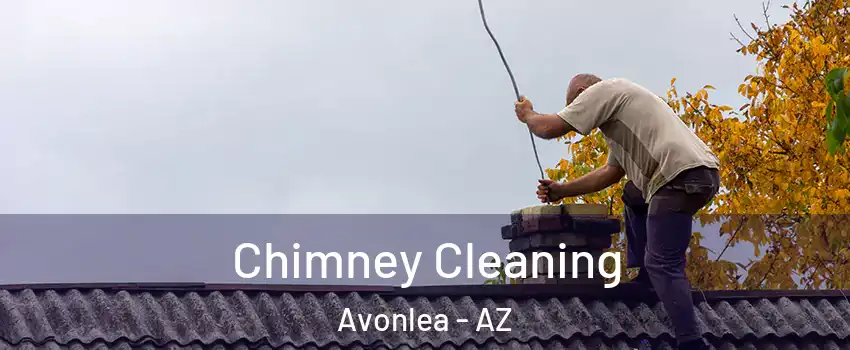 Chimney Cleaning Avonlea - AZ