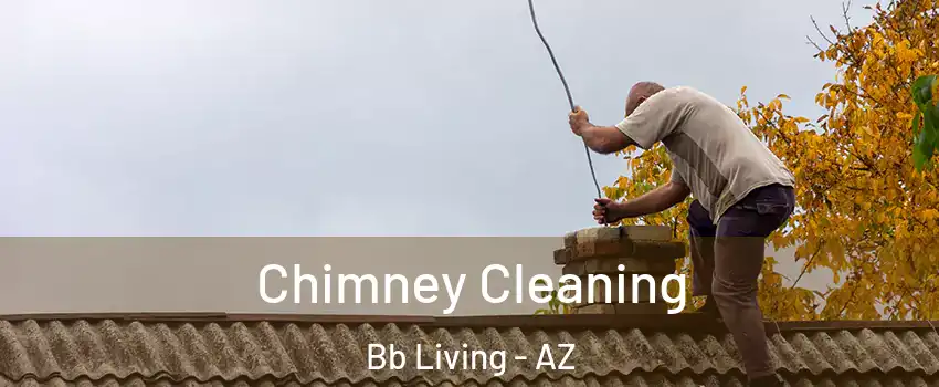 Chimney Cleaning Bb Living - AZ