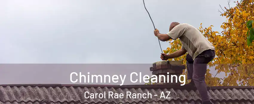 Chimney Cleaning Carol Rae Ranch - AZ